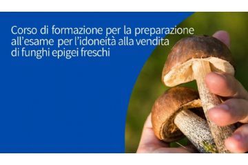 Corso di formazione necessario per ottenere l'idoneità alla vendita di funghi epigei spontanei