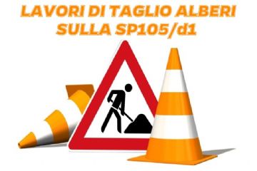 AVVISO - Lavori taglio alberi sulla SP 105/d1 per Scallaro